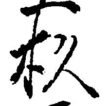 已定位杉
