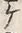 “ケ”字