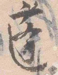 蓬の位置