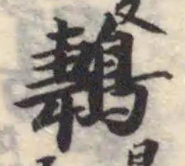 Đã định vị 鶈