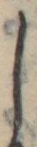 𛁅 위치 확인됨