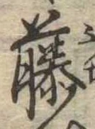 藤 위치 확인됨