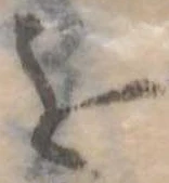 位置 確認된 を