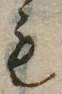 㐌定位𣗓檊