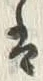 글자 は