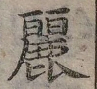 已定位麗