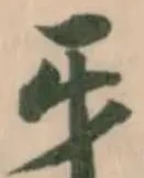 牙 위치 확인됨