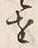 字を