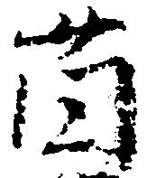 薗 위치 확인됨