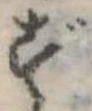 位置 確認된 ず