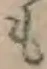 글자 も