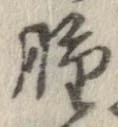 腫 위치 확인됨