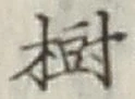 글자 樹