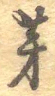 芽 위치 확인됨