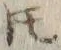 글자 𪜈