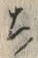 “ち”字