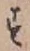 字す