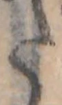 Đã định vị 𛁠