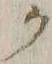 “ク”字