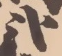 已定位弐
