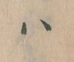 已定位𛂞