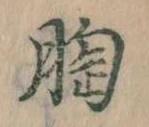 胸 위치 확인됨