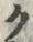 文字ク