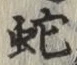 文字蛇