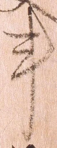 Đã định vị 亊