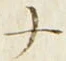 「ナ」字