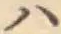 字ハ