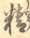 精 위치 확인됨