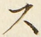 글자 ス