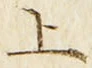文字 上