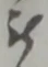 位置 確認된 被