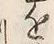 Chữ 近