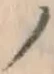 字ノ