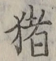 文字猪