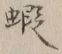 글자 蝦