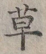 草 위치 확인됨