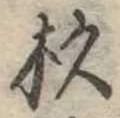 位置定マレル杉