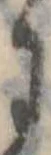 𛂌 위치 확인됨
