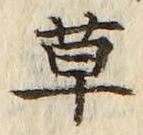𡨸草