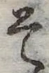 已定位そ