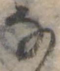 𛂂 위치 확인됨