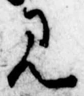 位置 確認된 見
