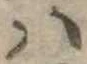 𛂞 위치 확인됨