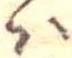 Đã định vị 𛂞