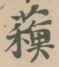 蘓 위치 확인됨
