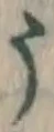 文字 う